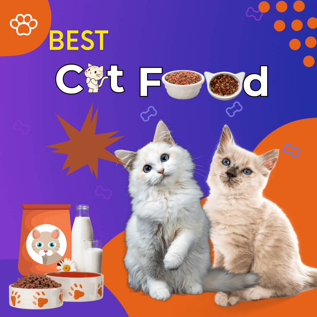 Cat Food Gems Deals